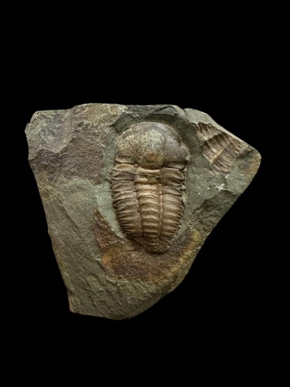 Photoroom 011 20251113 191406