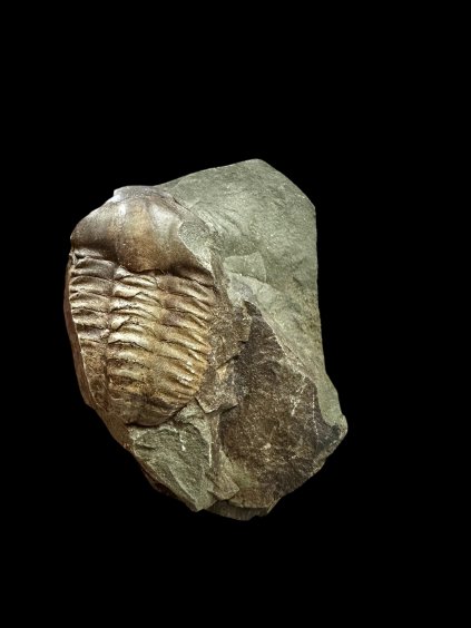 Photoroom 028 20251114 111720