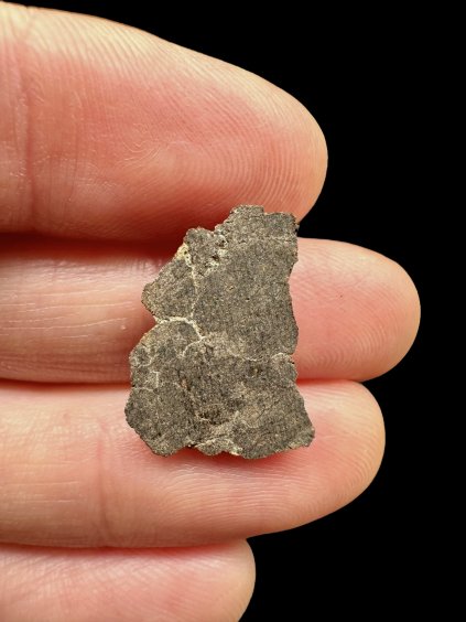 Photoroom 003 20251111 165230