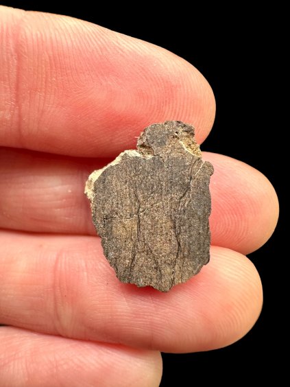 Photoroom 012 20251111 165640