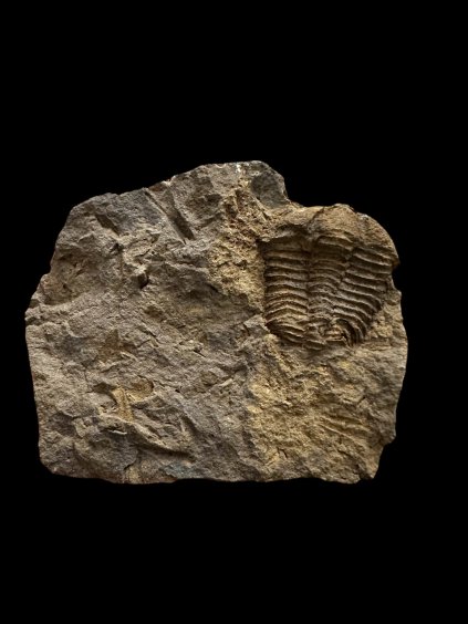 Photoroom 008 20251112 165418