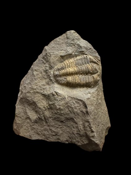 Photoroom 011 20251112 165418