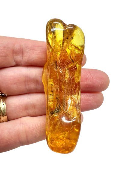 Photoroom 027 20251114 181009