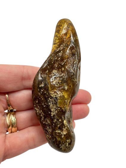 Photoroom 001 20251120 212545