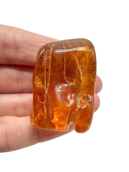 Photoroom 004 20251120 212545