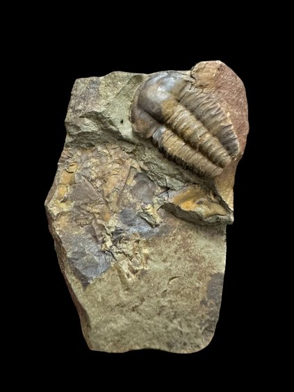 Photoroom 000 20251120 192411