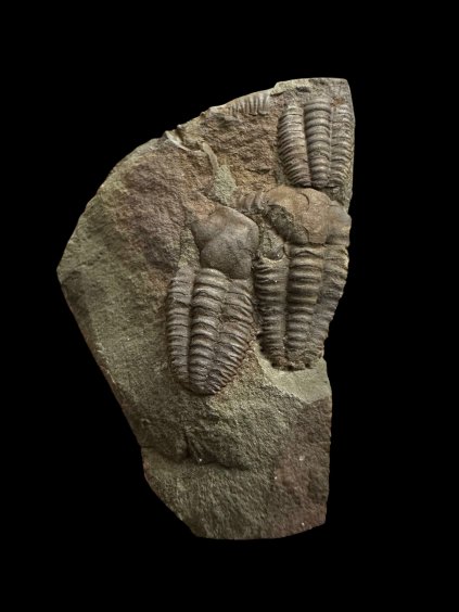 Photoroom 006 20251120 192411