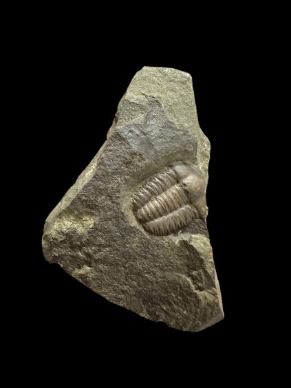 Photoroom 014 20251120 192411