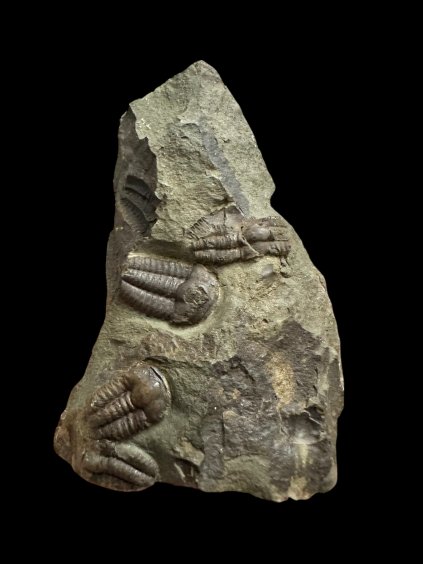 Photoroom 000 20251124 180845