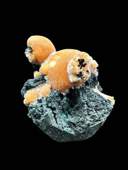 Photoroom 000 20251114 185413