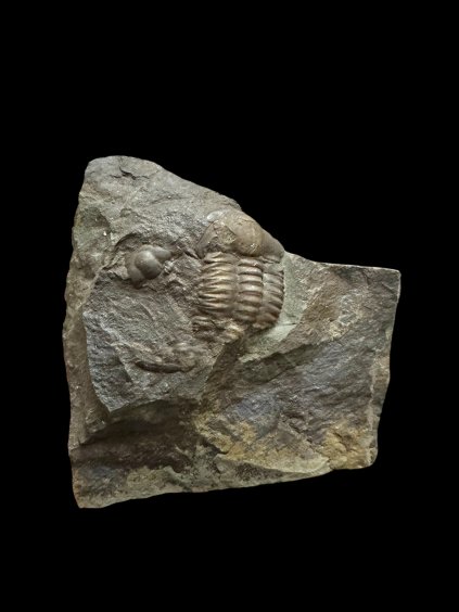 Photoroom 005 20251124 180845