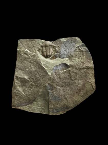 Photoroom 008 20251124 180845