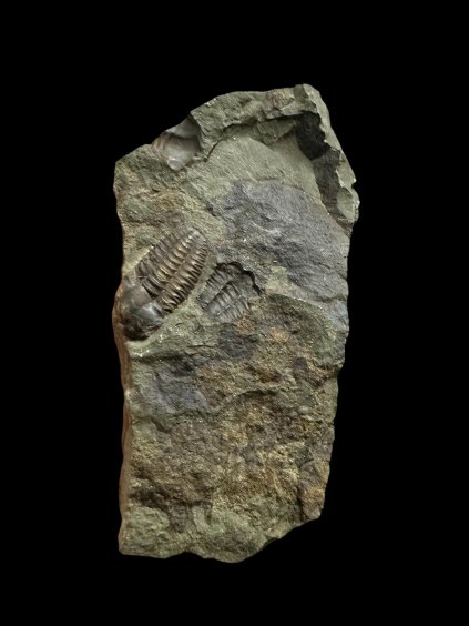 Photoroom 000 20251125 112724