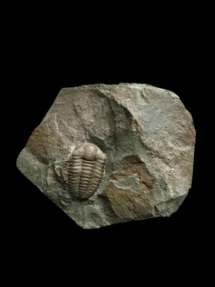 Photoroom 004 20251125 112724