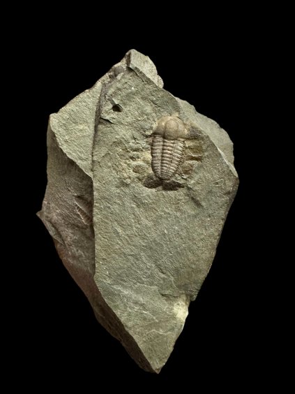 Photoroom 007 20251125 112724