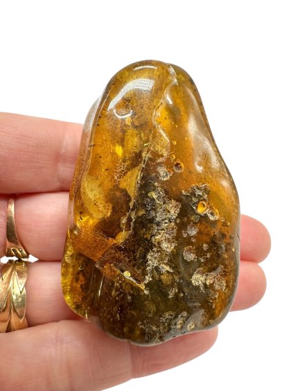 Photoroom 022 20251120 212545