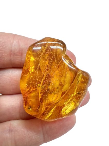 Photoroom 031 20251120 212545