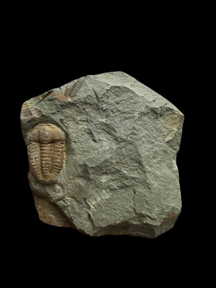 Photoroom 007 20251126 122103