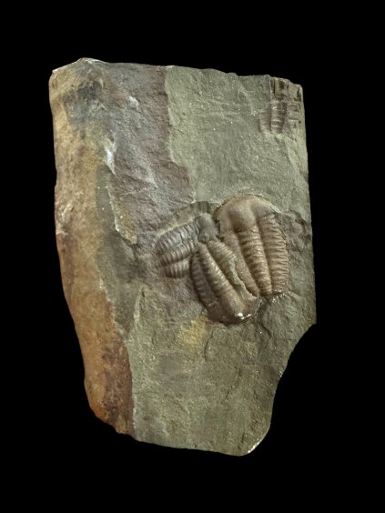 Photoroom 000 20251126 155751