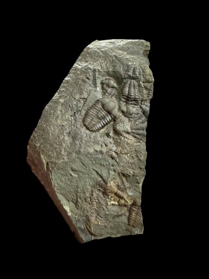 Photoroom 004 20251126 155751