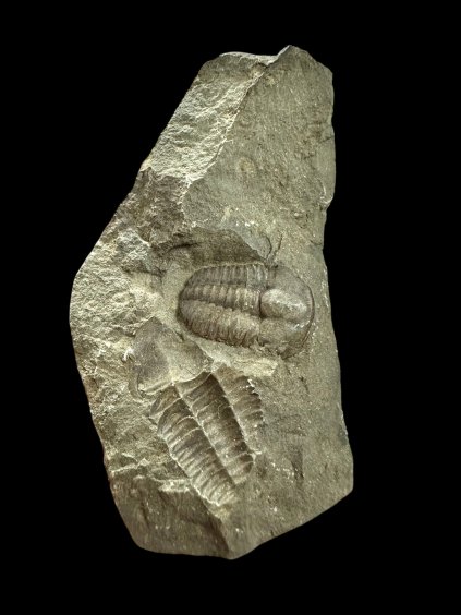 Photoroom 008 20251126 155751