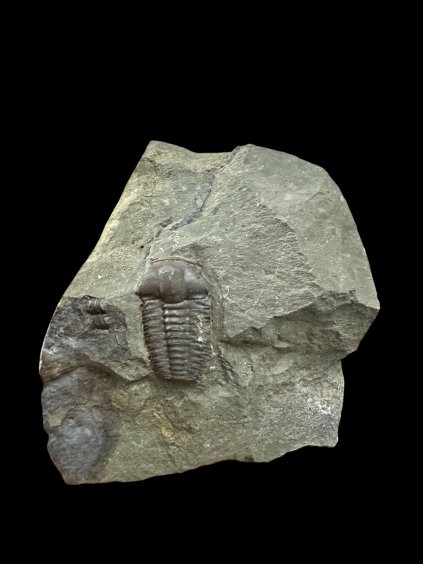 Photoroom 012 20251127 061747