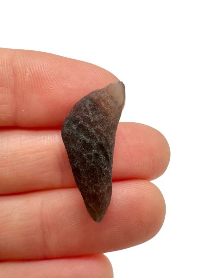 Photoroom 013 20251208 083059