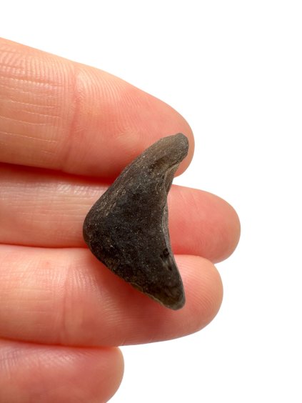 Photoroom 004 20251209 093121