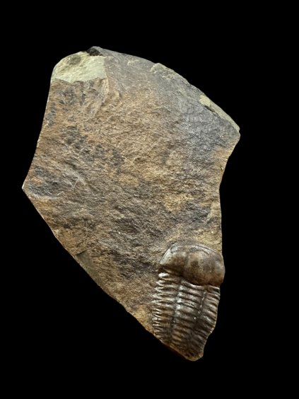 Photoroom 015 20251127 061747