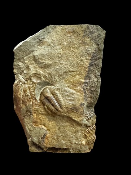 Photoroom 018 20251127 061747