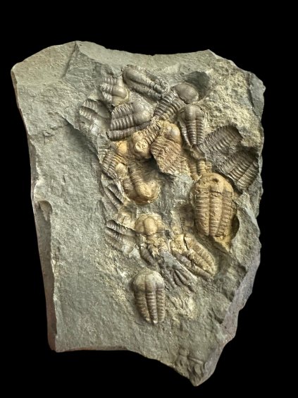 Photoroom 000 20251208 082632