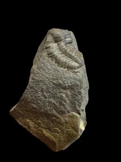 Photoroom 006 20251208 082632