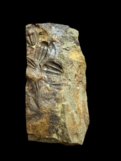 Photoroom 009 20251208 082632