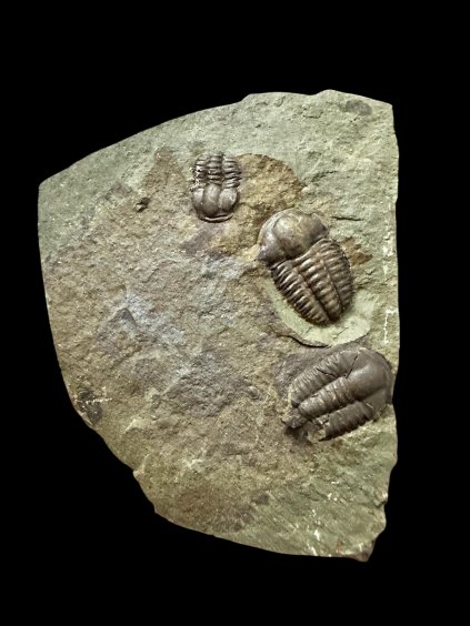 Photoroom 014 20251208 082632