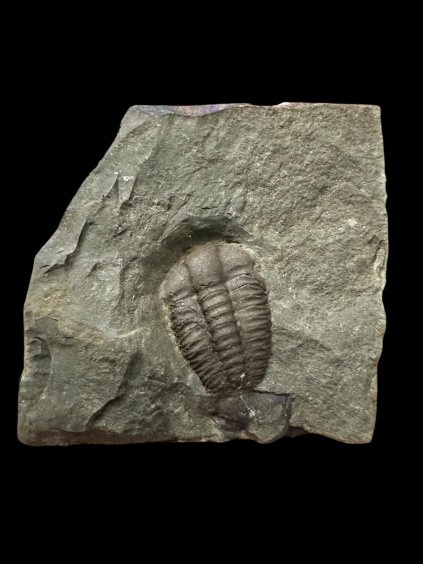 Photoroom 000 20251208 083355