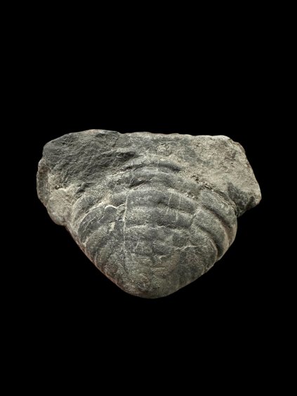 Photoroom 20260105 191624