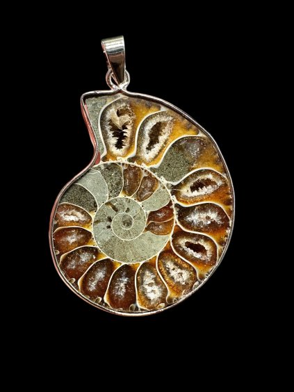 Photoroom 000 20251205 154705