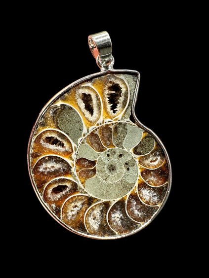 Photoroom 002 20251205 154705