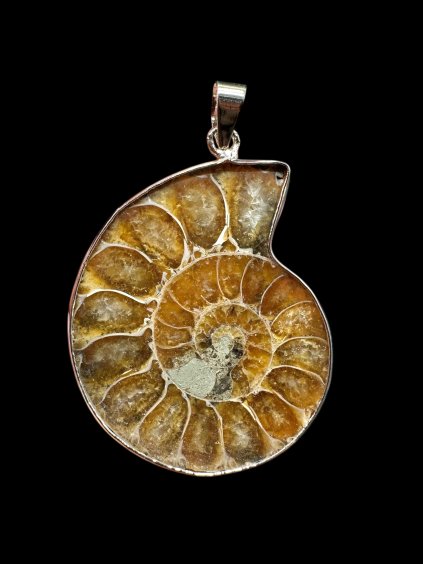 Photoroom 004 20251205 154705