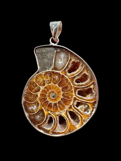 Photoroom 006 20251205 154705