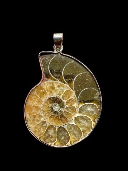 Photoroom 008 20251205 154705