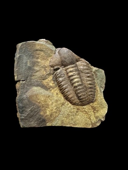 Photoroom 003 20251208 083355