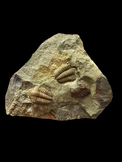 Photoroom 006 20251208 083355