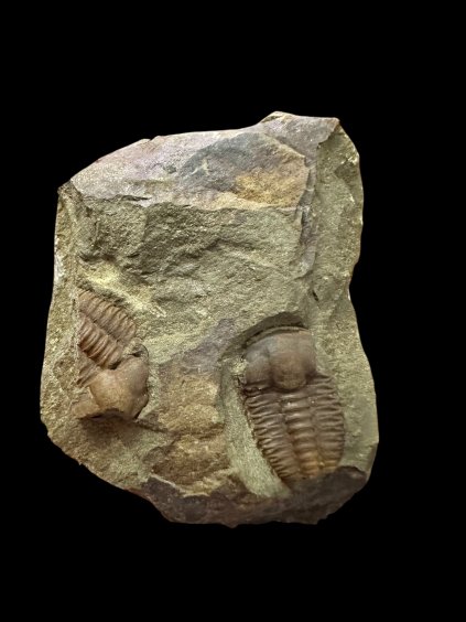 Photoroom 011 20251208 083355