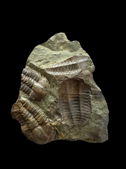 Photoroom 000 20251209 092616