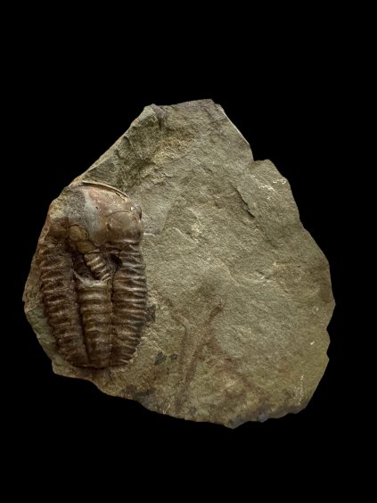 Photoroom 005 20251209 092616