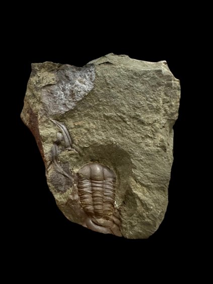 Photoroom 008 20251209 092616