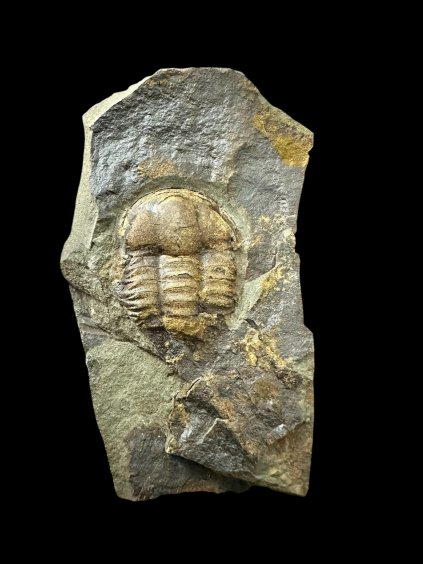 Photoroom 011 20251209 092616