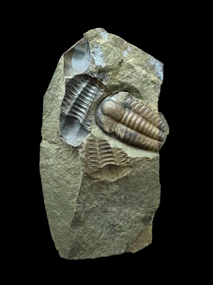 Photoroom 000 20251210 122908