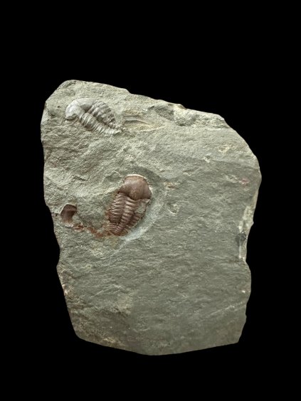 Photoroom 003 20251210 122908